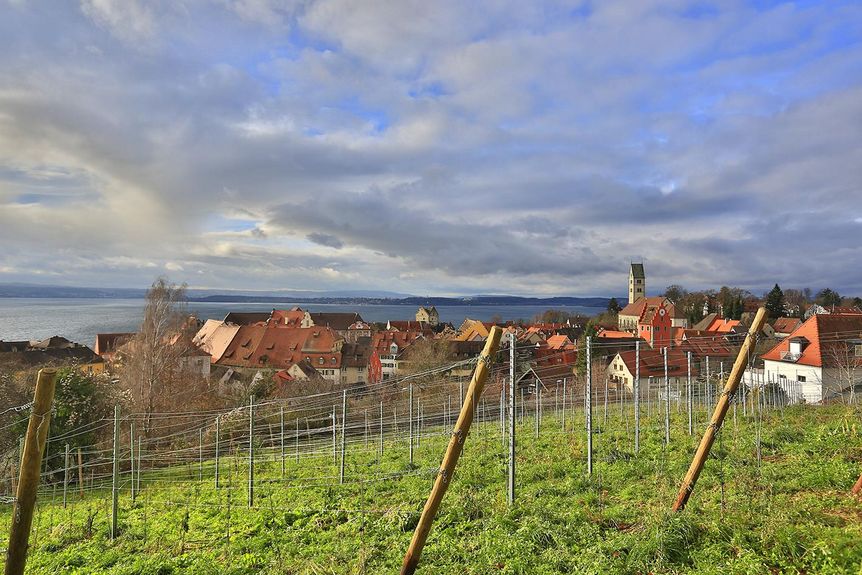 Fürstenhäusle Meersburg, Weinberge am Fürstenhäusle