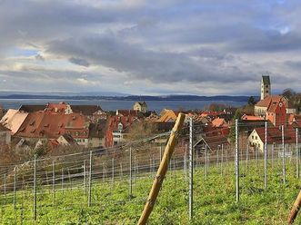 Weinberg mit Blick auf Meersburg