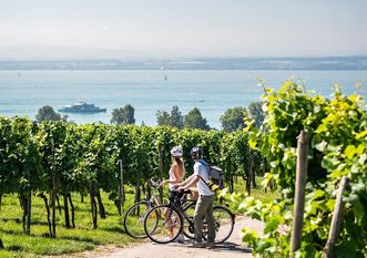 Radfahrer in den Weinbergen